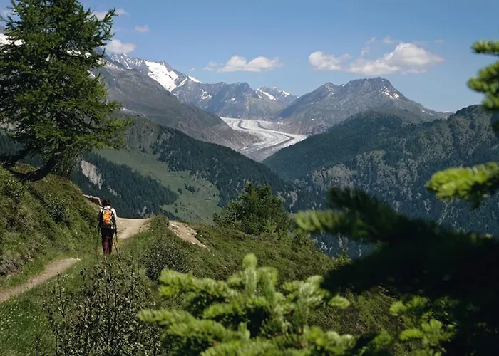 Lejlighed Am Bachji Belalp